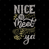 Nice To Meet Ya Tapestry Official Niall Horan Merch