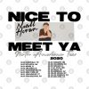 Nice To Meet You Tour Dates Parody T Shirt Phone Case Official Niall Horan Merch