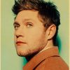 Vintage Kraft Paper Poster of Famous British Singer Niall Horan Art Portrait Painting Wall Sticker for 17 - Niall Horan Shop