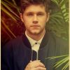 Vintage Kraft Paper Poster of Famous British Singer Niall Horan Art Portrait Painting Wall Sticker for 22 - Niall Horan Shop